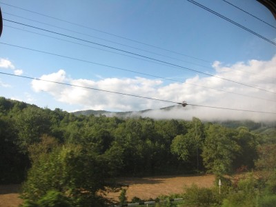 IMG_5170.jpg