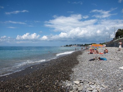 IMG_5786.jpg