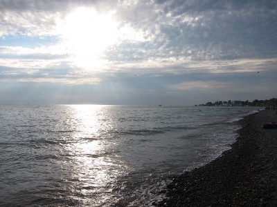 IMG_5890.jpg