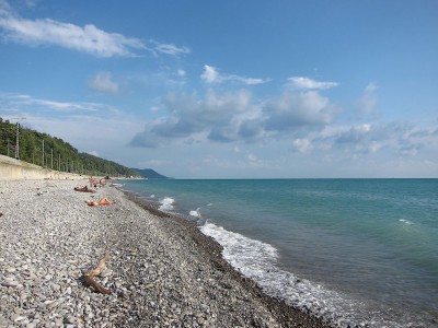 IMG_5879.jpg