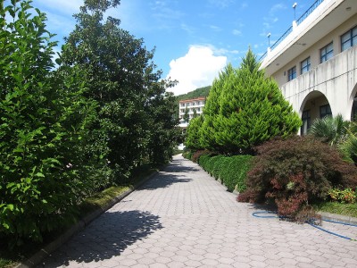 IMG_5868.jpg