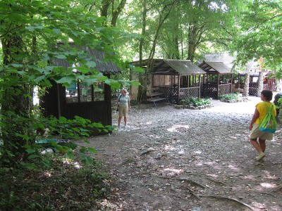 IMG_5910.jpg