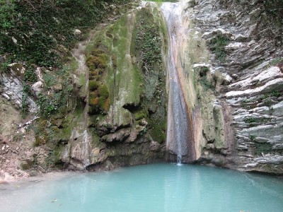 IMG_5954.jpg