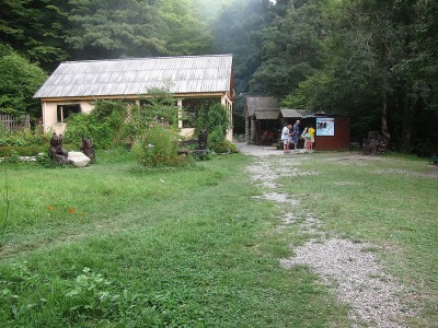 IMG_5964.jpg
