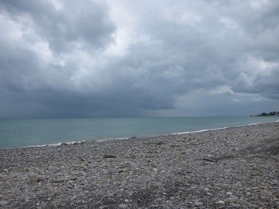 IMG_6016.jpg