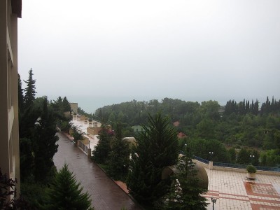 IMG_6031.jpg