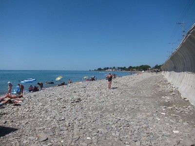 IMG_6172.jpg