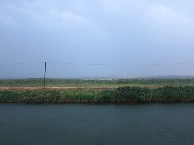 IMG_2036.jpg