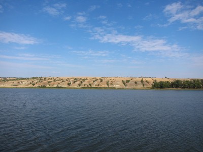 IMG_1985.jpg