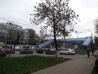 IMG_8491.jpg